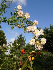 p1250156.jpg