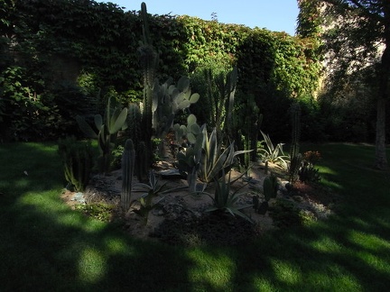 R0012554.JPG