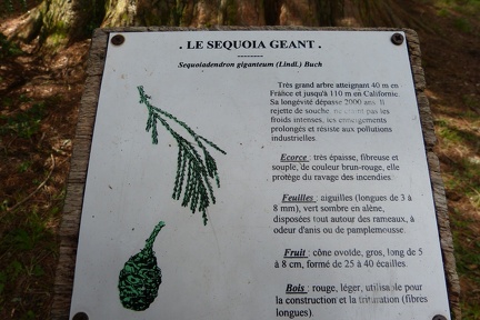 P1230333
