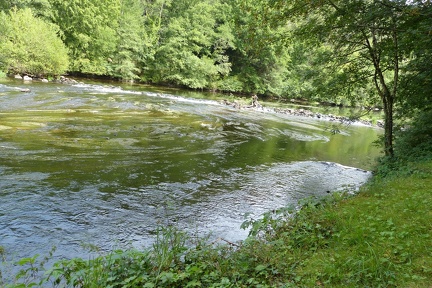 P1230335