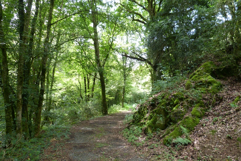 P1230338.jpg
