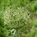 P1230342