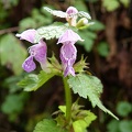 P1230357