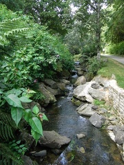 R0029098.jpg