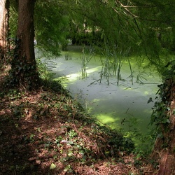 abbaye Port du Salut
