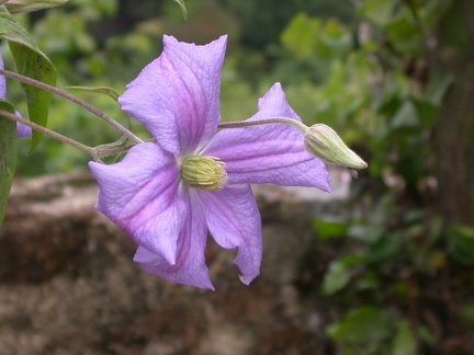 DSCN9287.JPG