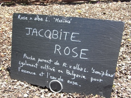 R0018727.jpg