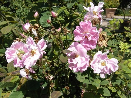 R0018728.jpg