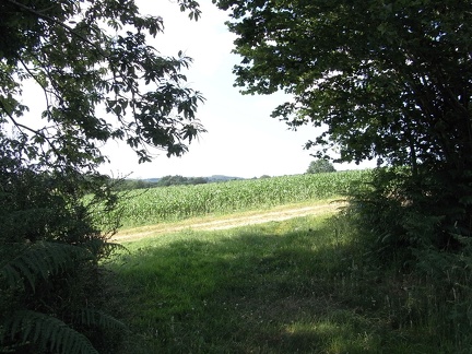 R0018617.jpg