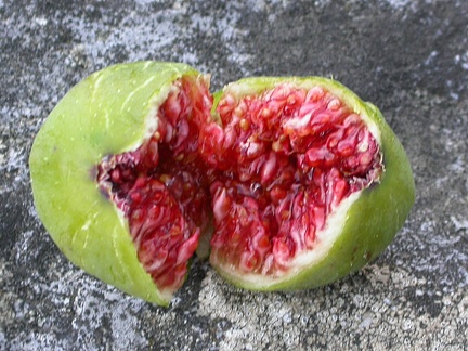 dscn3887.jpg